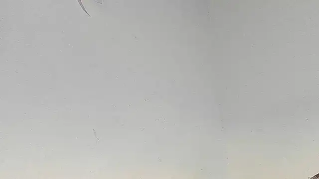 Eirlysx webcam