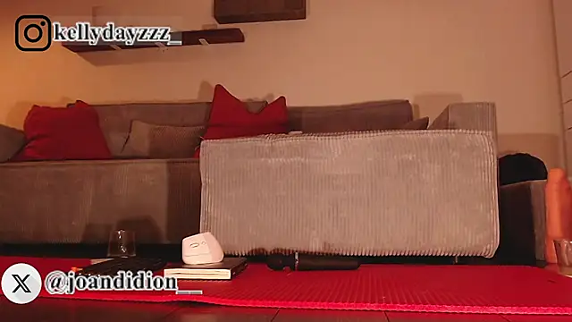 joan_didion webcam