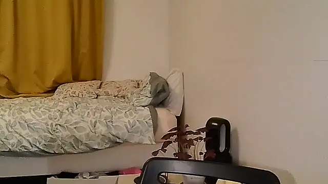 belgianshantie webcam