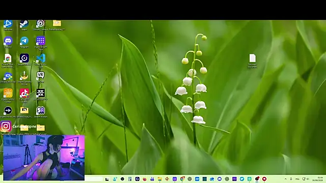 CeriseLapine webcam