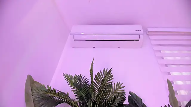 stephanymonroe webcam
