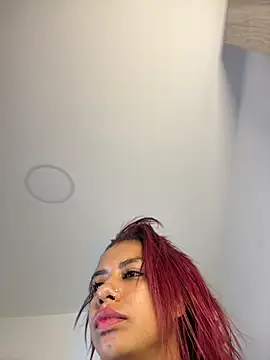 FerAlvax webcam