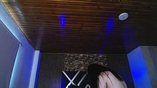 kittyhouse_hs webcam