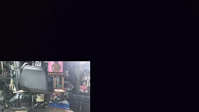 Sinstresshemlock webcam