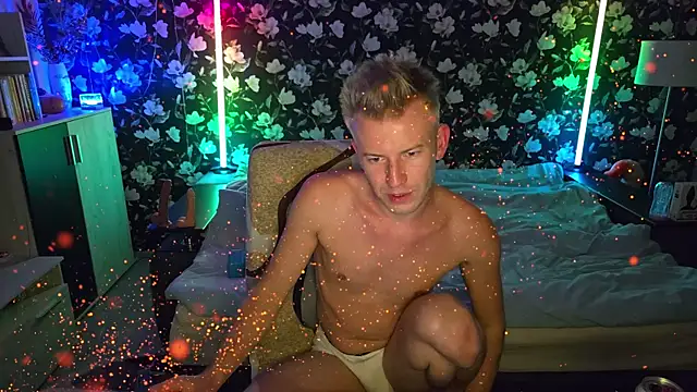 Vuitton webcam