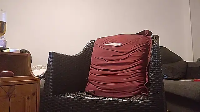 Tyyson03 webcam