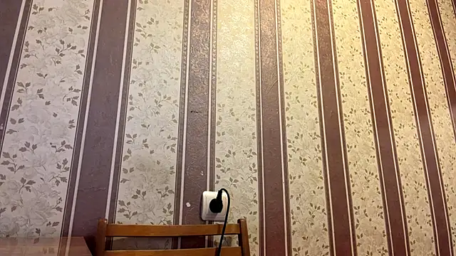 Snowmilly webcam