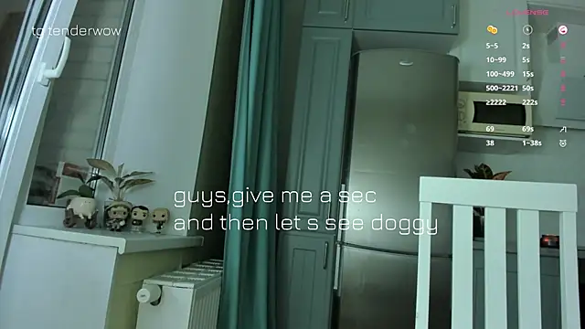 Tenderalise webcam