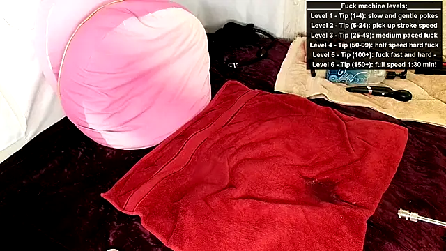 GamerGirlRoxyAndLee webcam