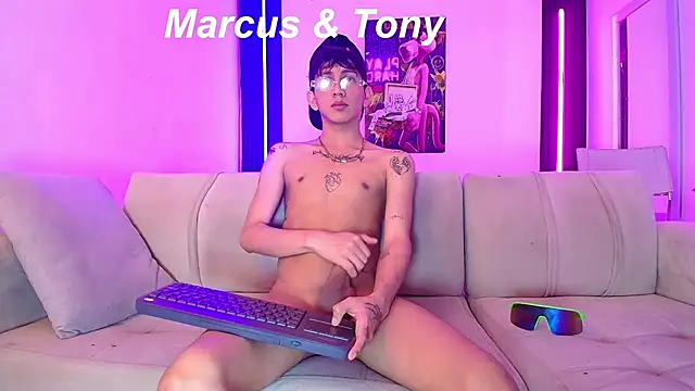 Marcus_and_Tony webcam