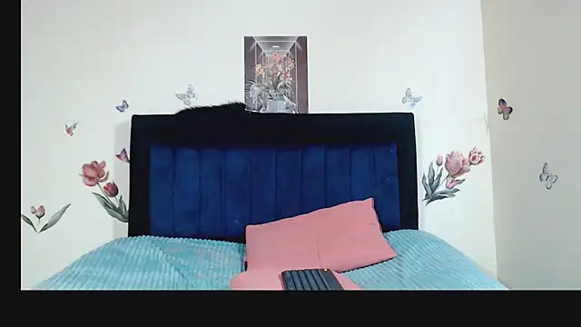 ANDRYXS100 webcam