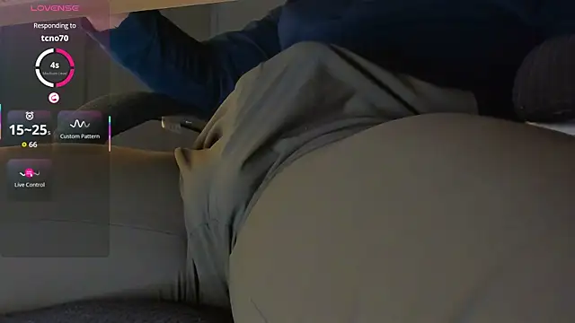BulgeArt webcam