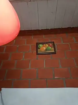 GingerMoon_ webcam