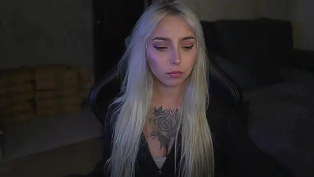 lis_silver webcam