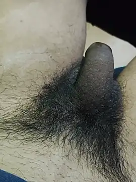 Desicouple2909 live cam on StripChat