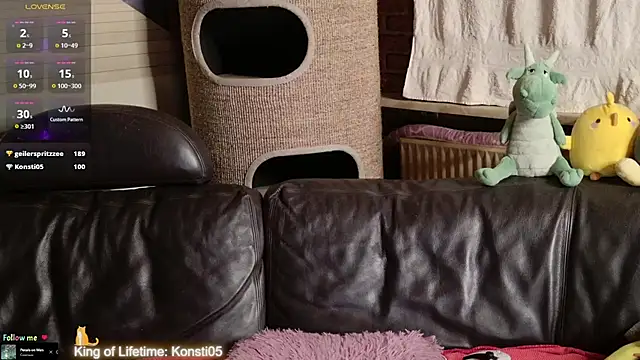 GamerGirl_Eve webcam