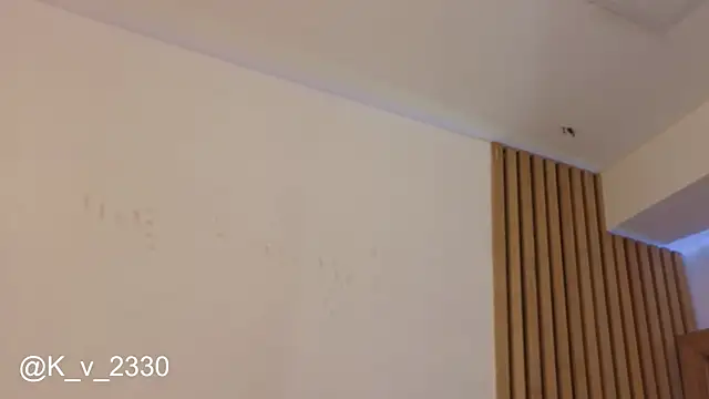 sofiesoft webcam