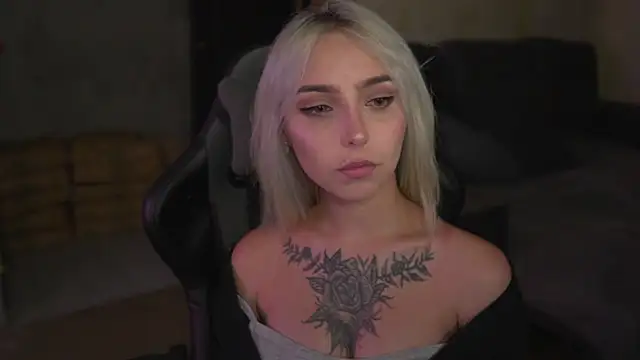 lis_silver webcam