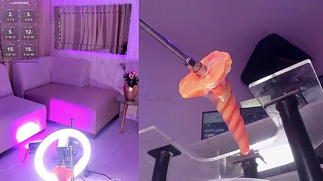 DannaScully_ webcam