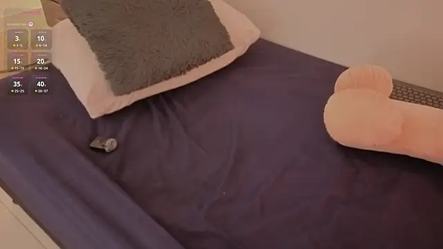 AllisonRoberts_ webcam