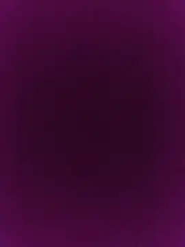 ChefPipeL webcam