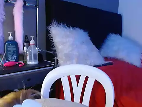 Lustukitty_02 webcam