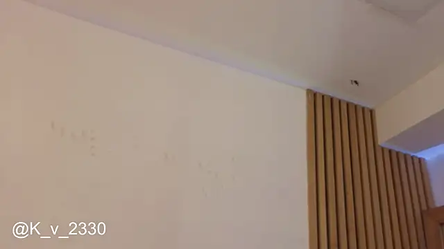 sofiesoft webcam