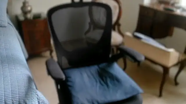 twdspunpig webcam
