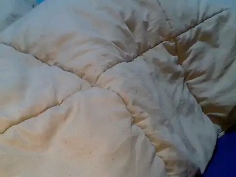 Reeighdoll webcam