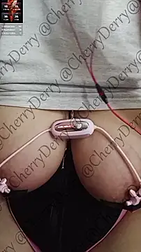 CherryDerry webcam