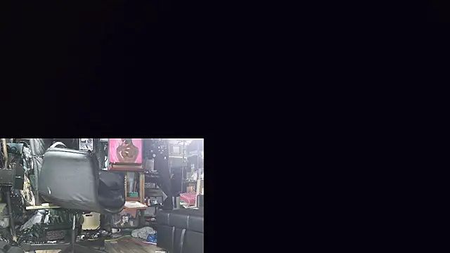 Sinstresshemlock webcam