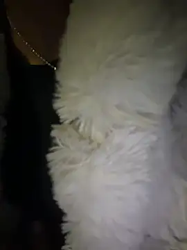 Vela_Carter webcam