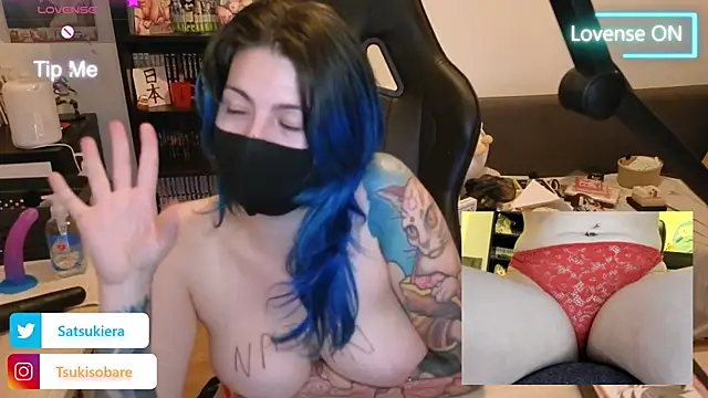 _Satsuki_ webcam