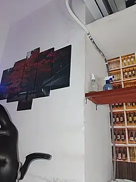 _Shirley_ webcam