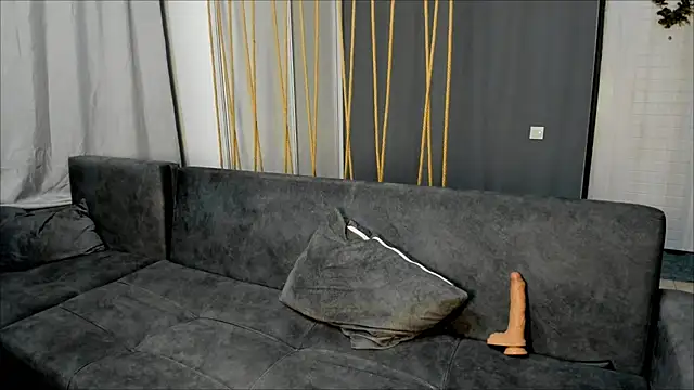 ViolaMon webcam