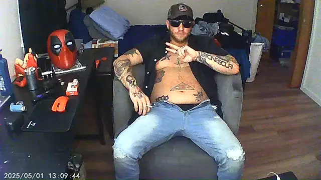 Livingpuddle webcam