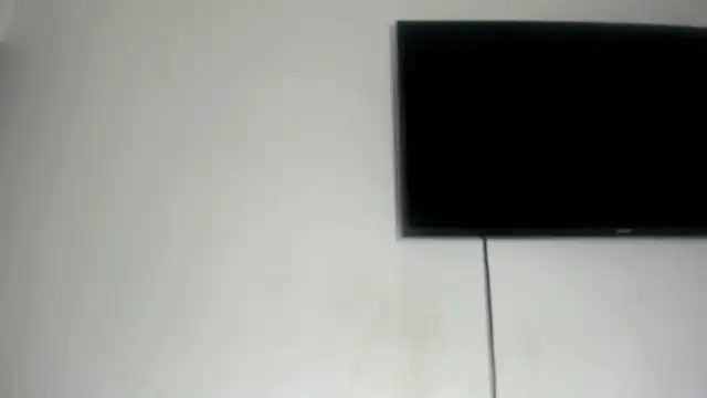 Fox_Loves webcam
