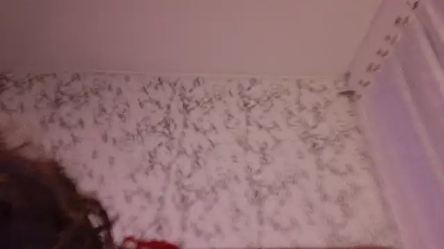 Mara_Hill webcam