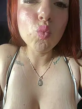 Sofhi_a20 webcam