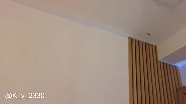 sofiesoft webcam