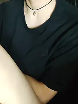 Aashikalaa webcam