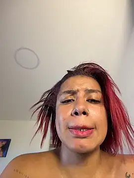 FerAlvax webcam
