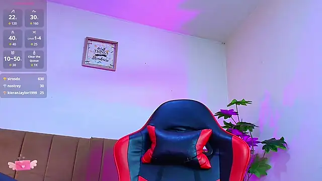 Nikkenyx webcam