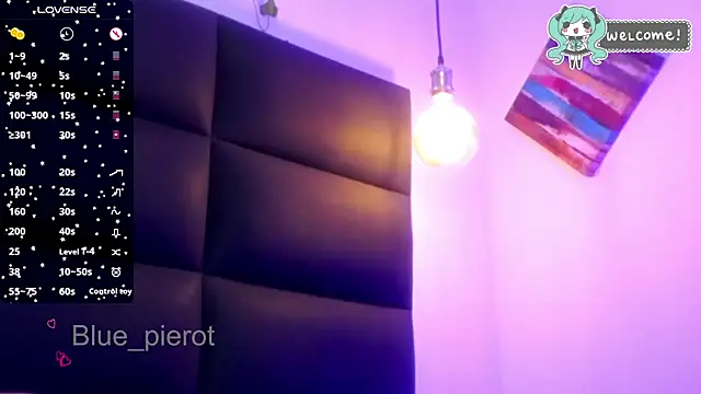 blue_pierot webcam