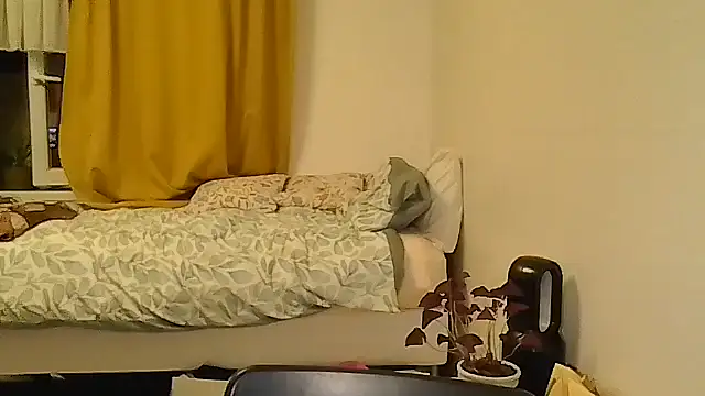 belgianshantie webcam