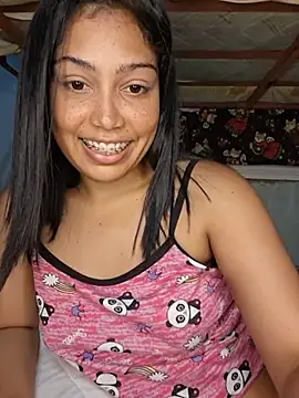 Putaalexa webcam