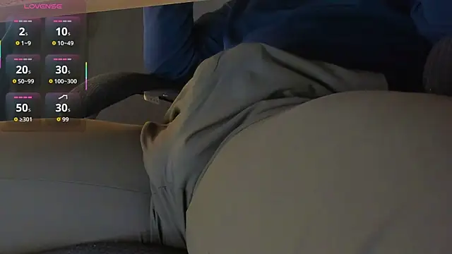 BulgeArt webcam