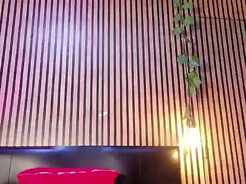 Hiddenhotcake webcam