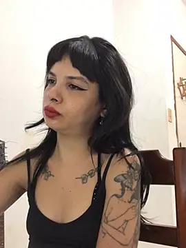 pinacarracci webcam