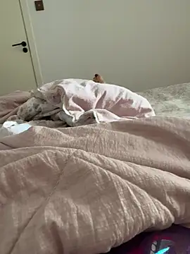 liu-bao webcam